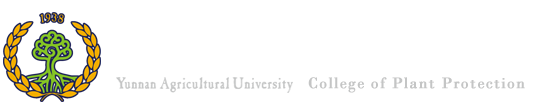 bv伟德官方网站